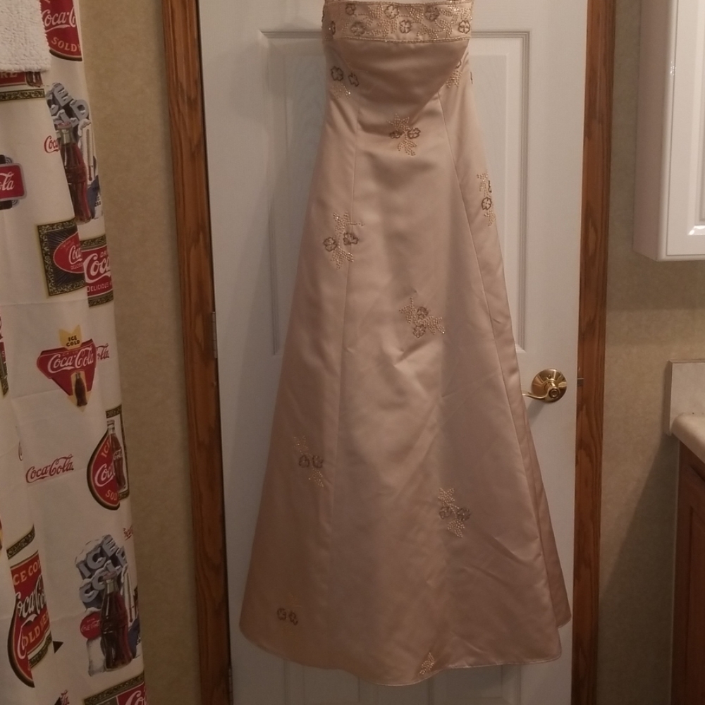 Vintage Ballgown/Prom Dress
